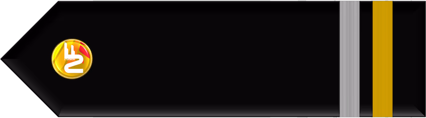 vPPL Silver (1.Officer)